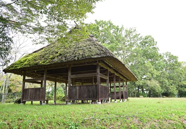 かぎろひの丘万葉公園