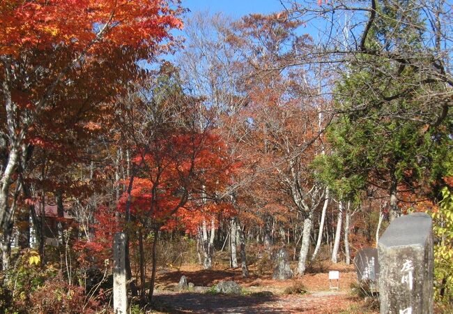 綺麗な紅葉を楽しめました