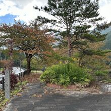 小国側沿いの公園内