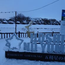 公園入口・イルミネーションの告示