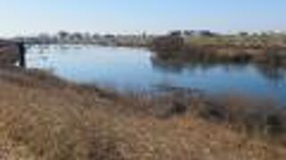 中洲があるところを見ました