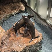 都会っぽい水族館