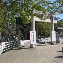 勅使道を歩くと香椎宮一の鳥居が見えてきます。