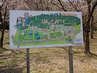 村松公園桜まつり