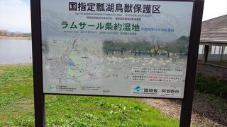 ラムサール条約に登録された湿地