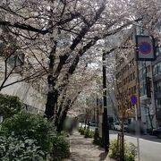 柳の次は桜