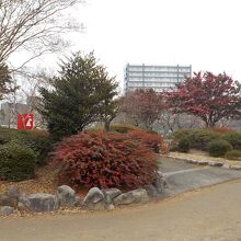 植栽もきれいに手入れされています。