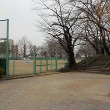 立派なグラウンドも持植えられています。