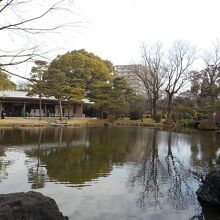 石橋文化センターの日本庭園