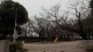 桜の咲く3月下旬が一番きれいで賑わいます。