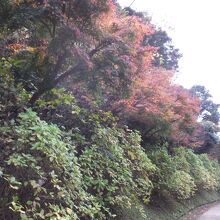 紅葉の切通し