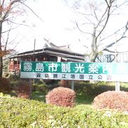 霧島観光の情報収集とソフトクリーム