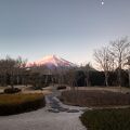 部屋、庭園からの富士山の眺めが最高でした！
