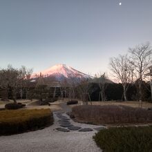 ロビー前の庭園＆富士山です。