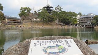 まったりできます