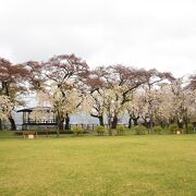 大館市内にある公園