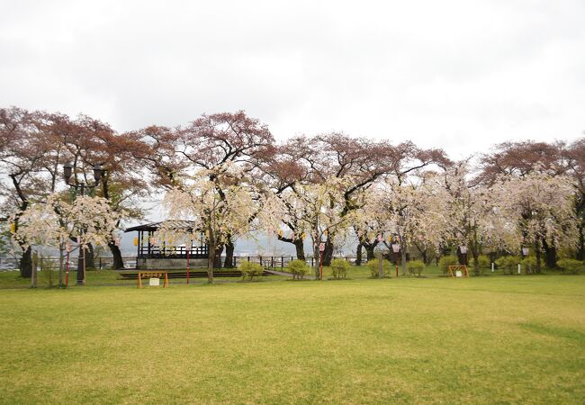 大館市内にある公園