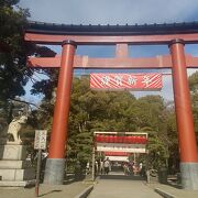 ポニーがいる神社