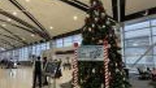 デトロイト メトロポリタン ウェイン カウンティ空港 (DTW)