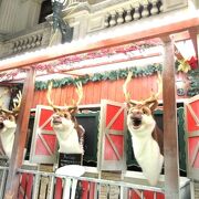 メルボルンの市庁舎　クリスマスには歌うトナカイ
