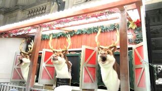 メルボルンの市庁舎　クリスマスには歌うトナカイ