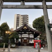 「うさぎ神社」縁結びの神様