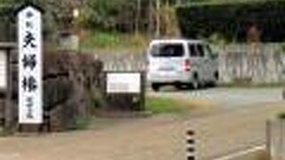 古代に通じる散策トレイルです。