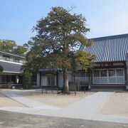 久留米市寺町にある日蓮宗のお寺です。