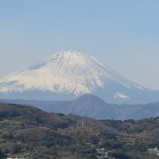 吾妻山公園山頂は関東の富士見１００景　冬場には菜の花も