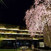 屋上に緑と本物の桜の木があってびっくり