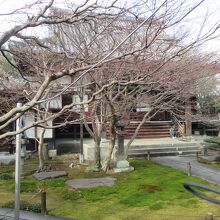 誓行寺の立派な庭の向こうには本殿があります。