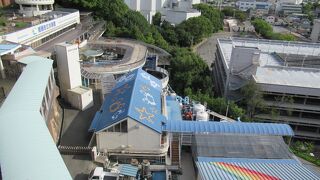 山の上の水族館