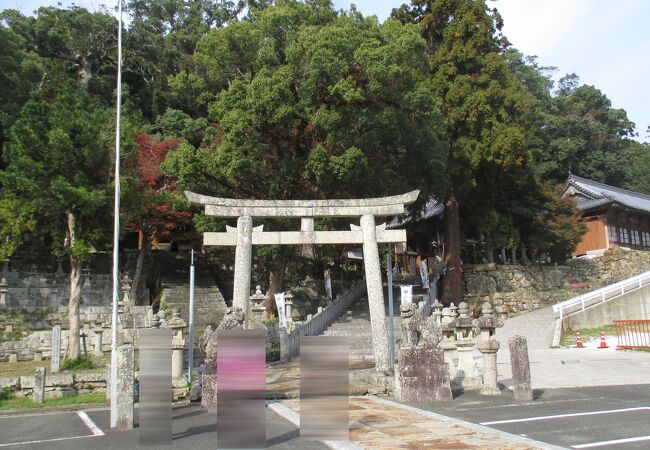 江戸時代は下津八幡宮と呼ばれ、親しまれたそうです。