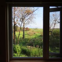 この景色に心を洗われる