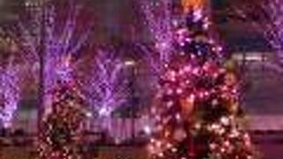 クリスマスイルミネーション♪