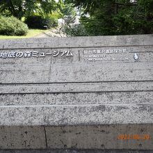 地底の森ミュージアム (仙台市富沢遺跡保存館)