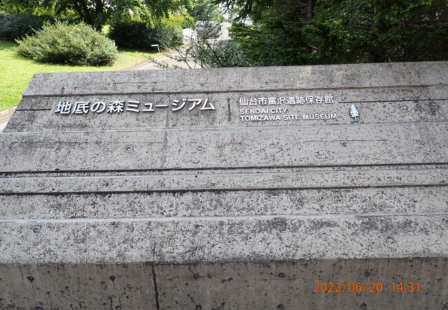 地底の森ミュージアム (仙台市富沢遺跡保存館)