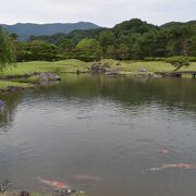 広々とした贅沢な日本庭園