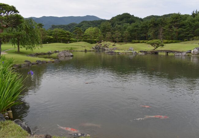 広々とした贅沢な日本庭園