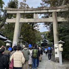 兎年の初詣