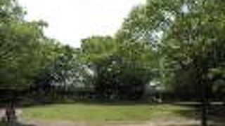 久々に行ってきました