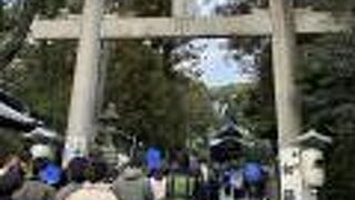 兎が氏神の神社