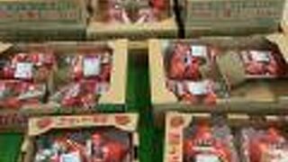 明日香村のお野菜と展示室が楽しめる