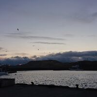 近くの漁港より