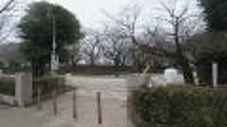 安く利用できる市営駐車場があるので利用しやすい公園です。