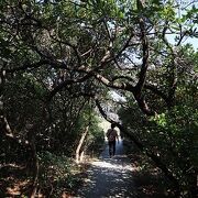 良い意味で地の果て感あり