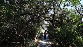 良い意味で地の果て感あり