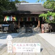 苔むした趣のある寺院