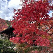 京都屈指のもみじの名所