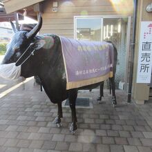 但馬牛の専門店も有り